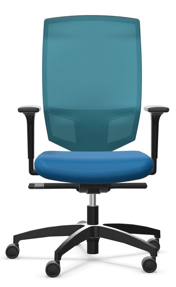 Dauphin @Just magic2 mesh XS AJ 5777_XS,