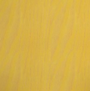 Buche gebeizt hellgelb 31/H