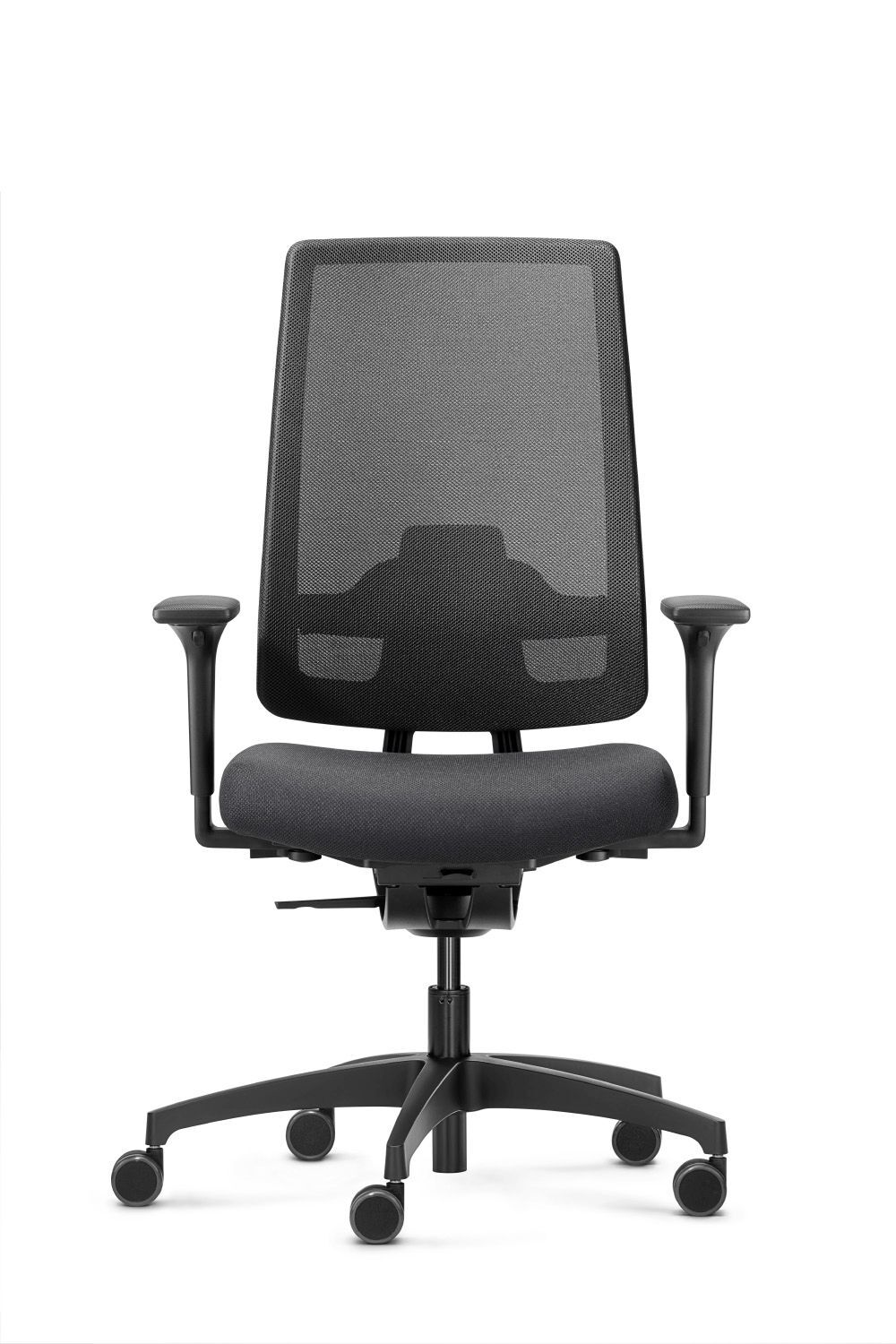 Dauphin Indeed automatic mesh ID 7056,