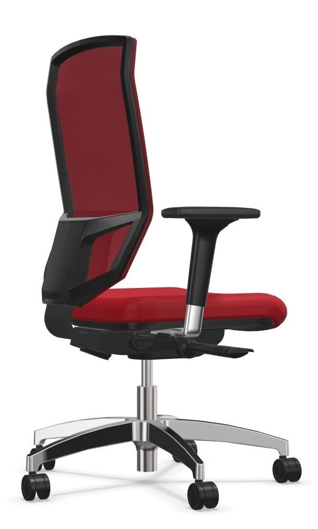 Dauphin @Just magic2 mesh XS AJ 5777_XS,