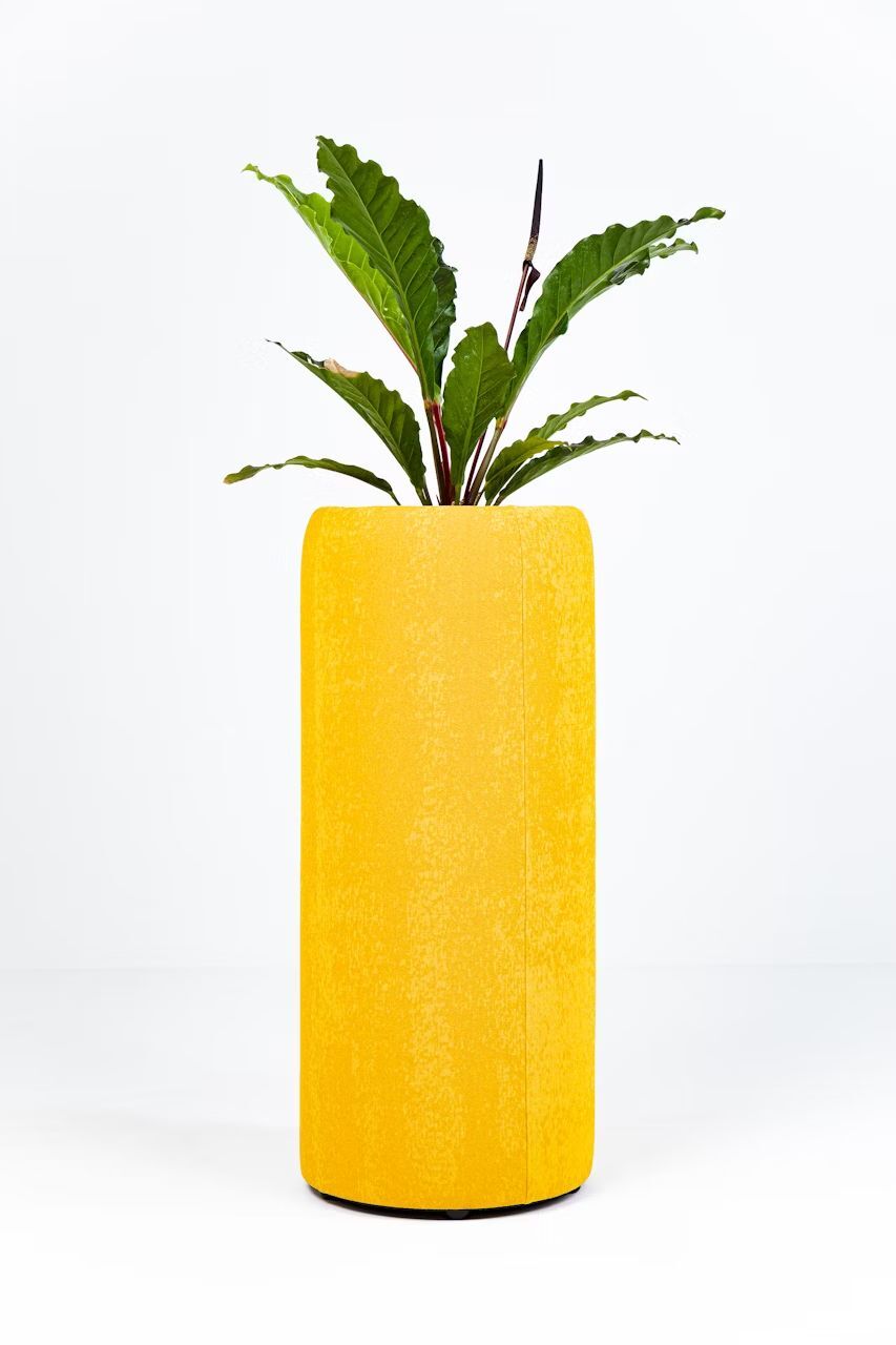 BuzziSpace BuzziPlanter, Pflanzgefäß, akustisch wirksam, viele Formate