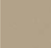 SA85 graubeige