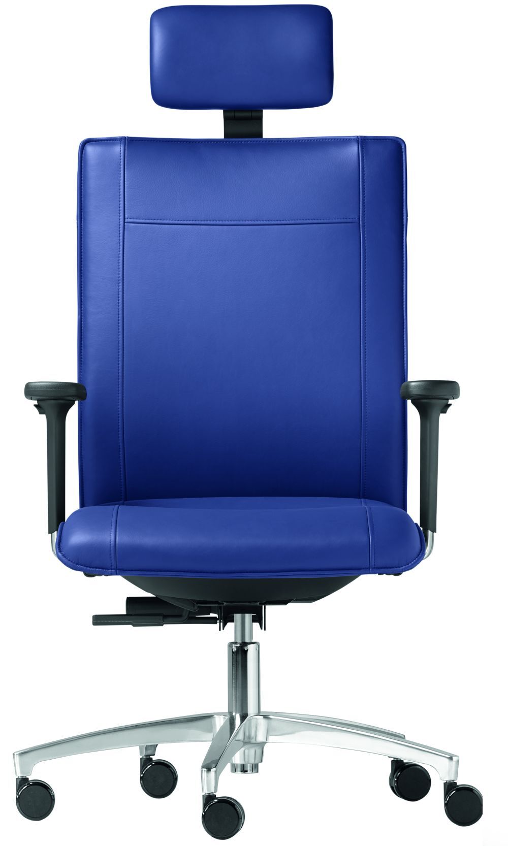 Dauphin Cento Miglia XXL