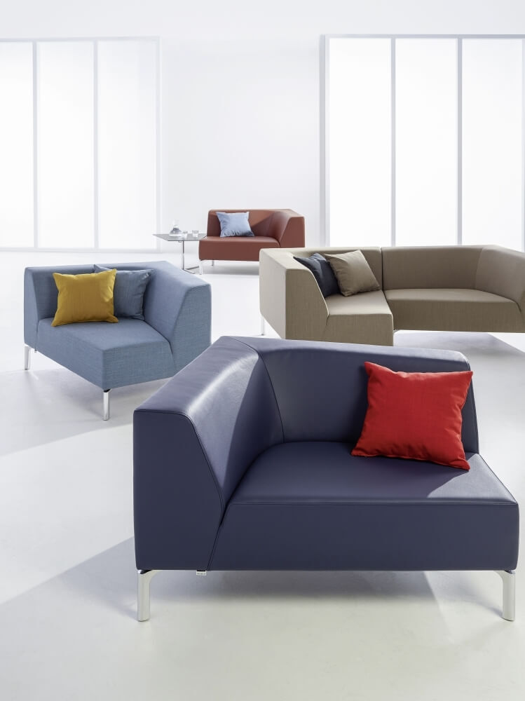 Moderne, farbige Sofas mit Kissen in hell beleuchtetem Raum, betonen Stil und Komfort.