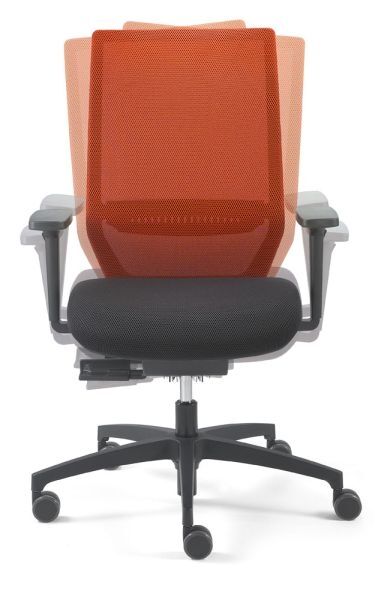 Dauphin Shape mesh