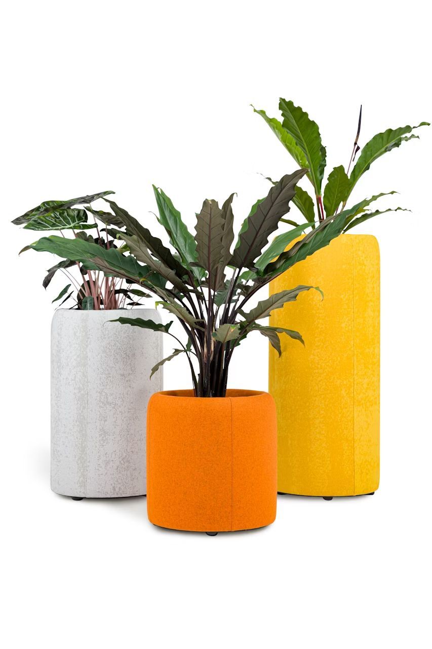 BuzziSpace BuzziPlanter, Pflanzgefäß, akustisch wirksam, viele Formate