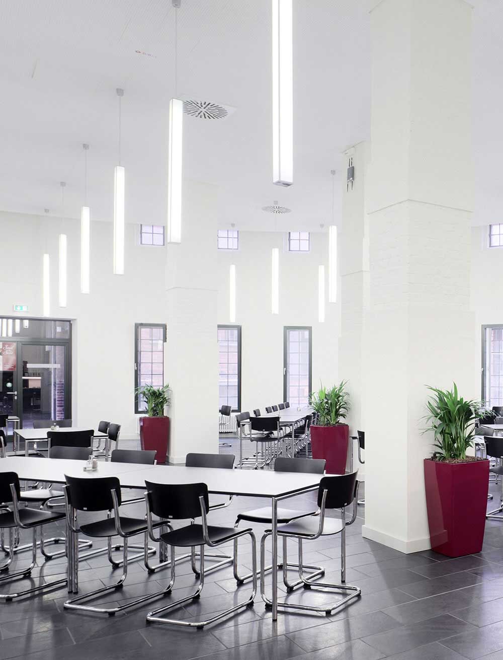 Thonet S 43 Freischwinger in Formholz schwarz gebeizt Express-Modell