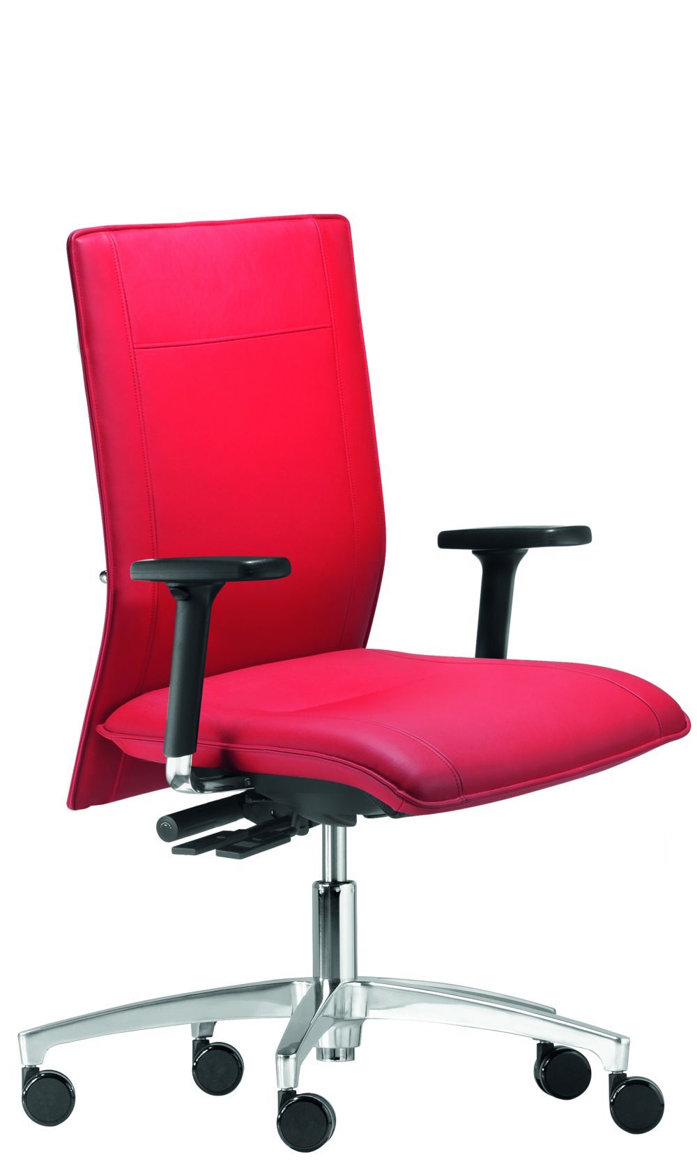 Dauphin Cento Miglia XXL